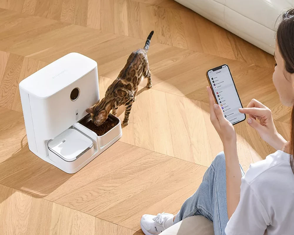 automatic cat feeder with camera