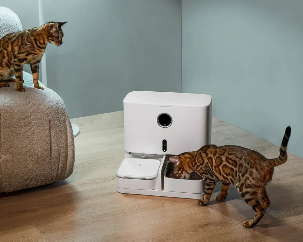 best automatic pet feeder for cats